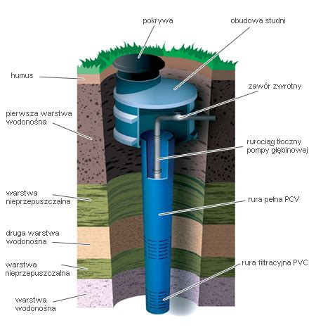 studnia gdynia leśna polana